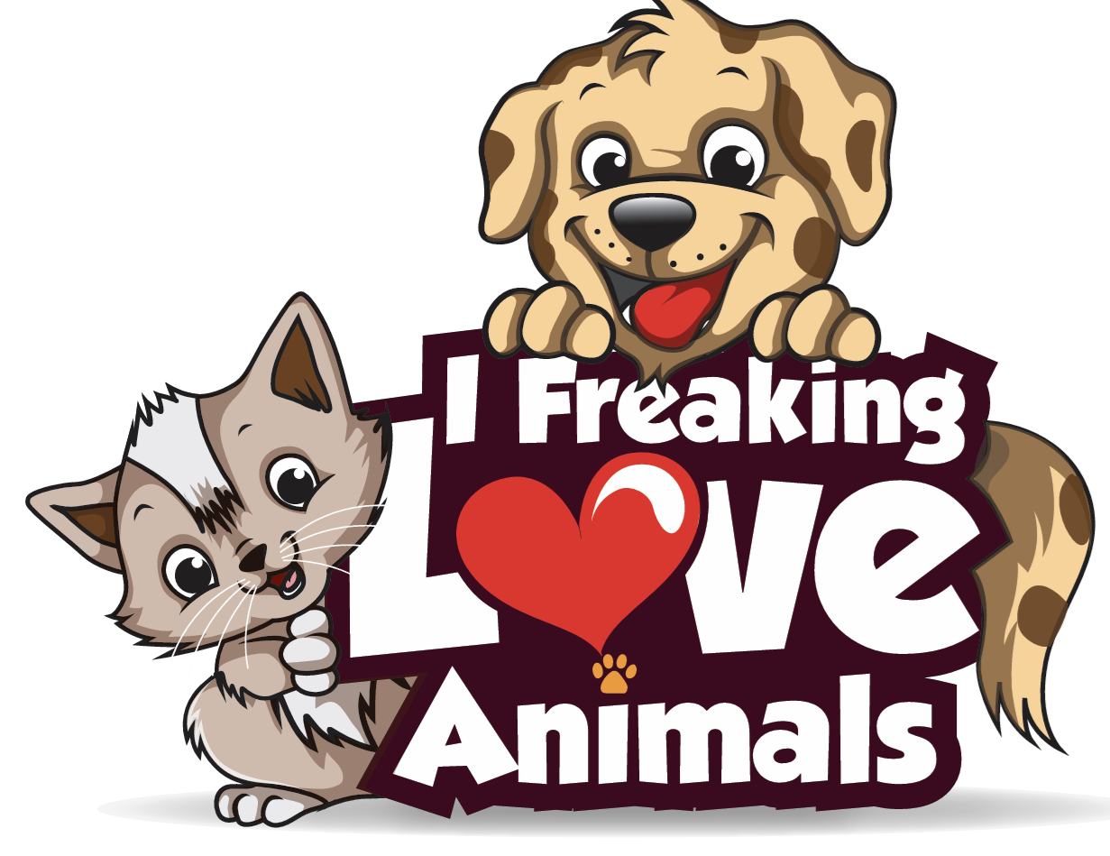 I Freaking Love Animals Project